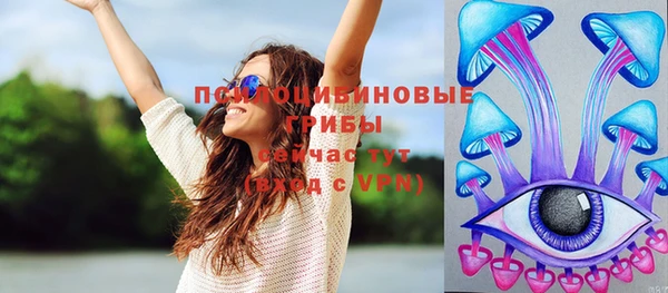 стафф Алзамай