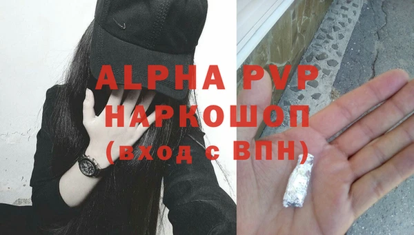 стафф Алзамай