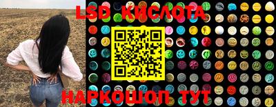 PSILOCYBIN Гатчина