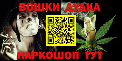 PSILOCYBIN Гатчина