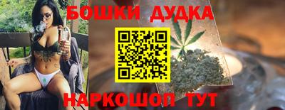 PSILOCYBIN Гатчина