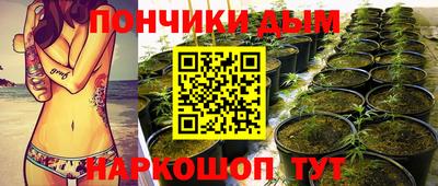 PSILOCYBIN Гатчина