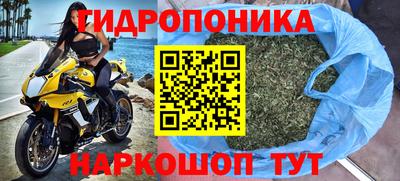 PSILOCYBIN Гатчина