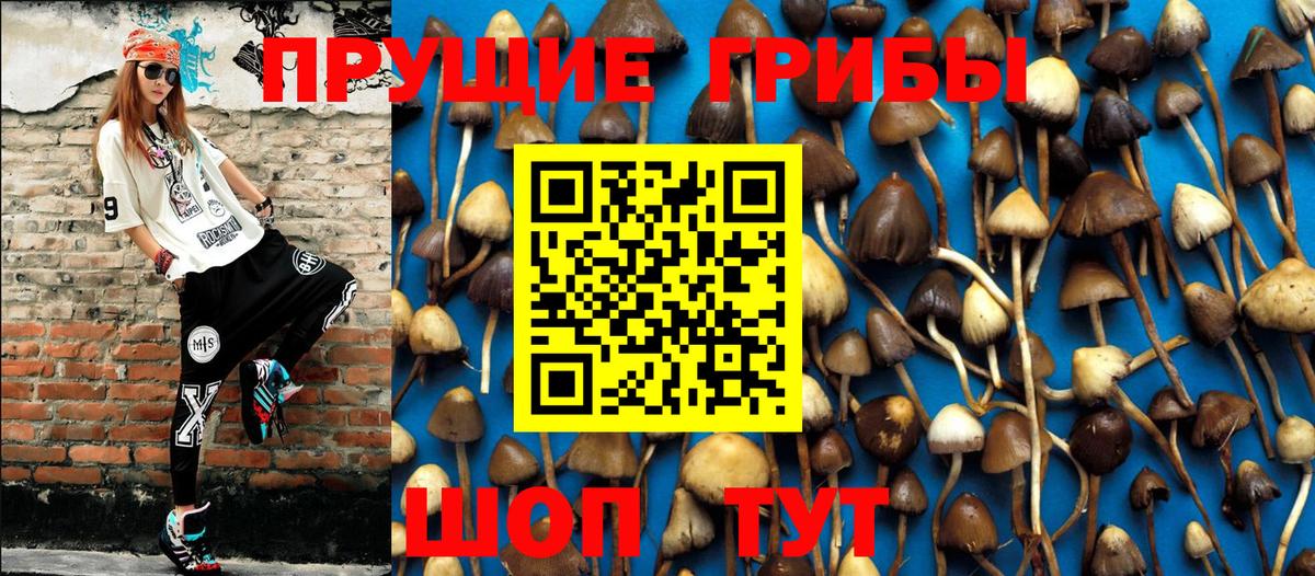 Галлюциногенные грибы прущие грибы Донской