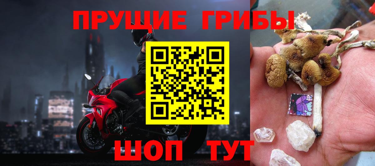 Галлюциногенные грибы мицелий  Вход с VPN  Донской 